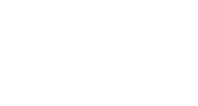 Česká spořitelna