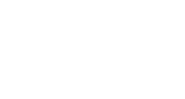 Česká spořitelna
