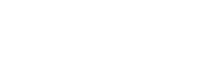 ČMSS