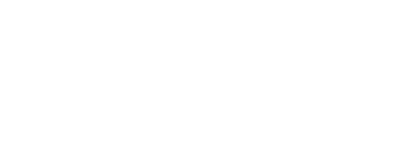 ČMSS