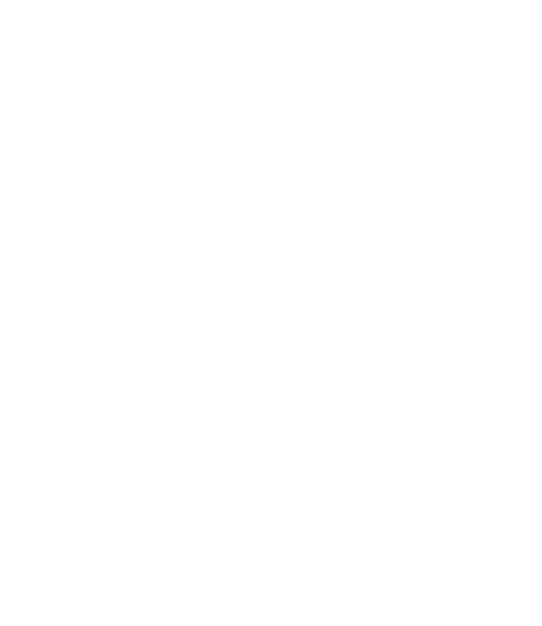 Škoda Auto